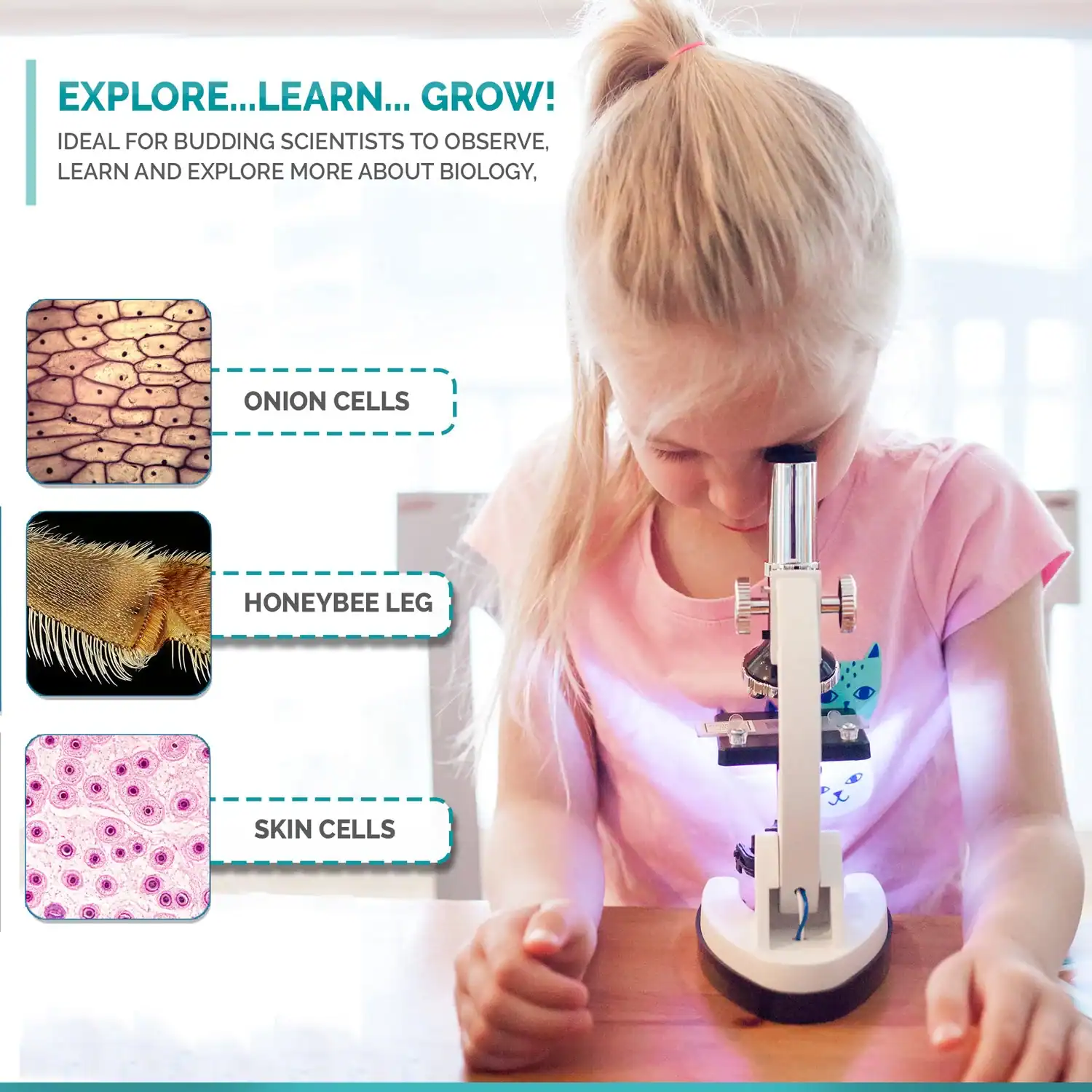 AmScope - Kit di microscopi STEM per bambini - immagine 5