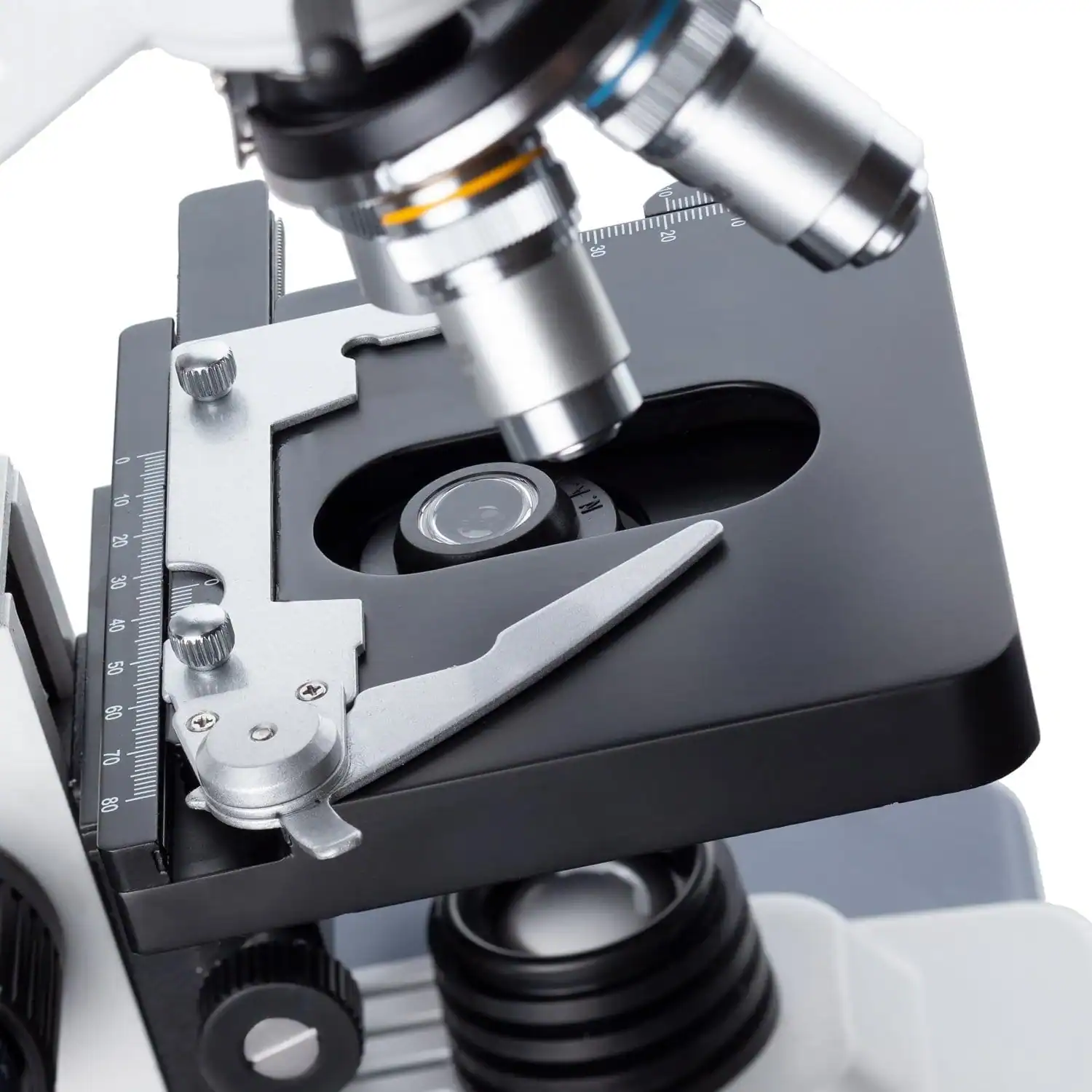 AmScope - Microscopio binoculare a LED - immagine 7