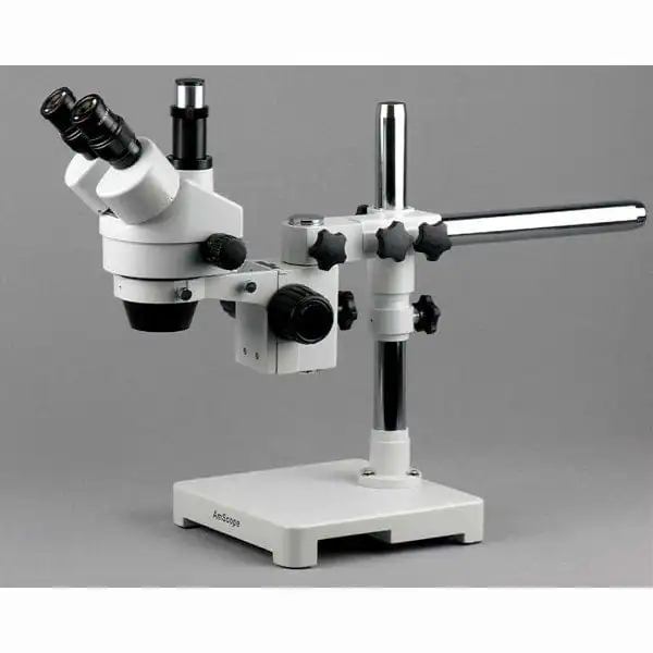AmScope - Stereo Microscopio Trinoculare - Image 3