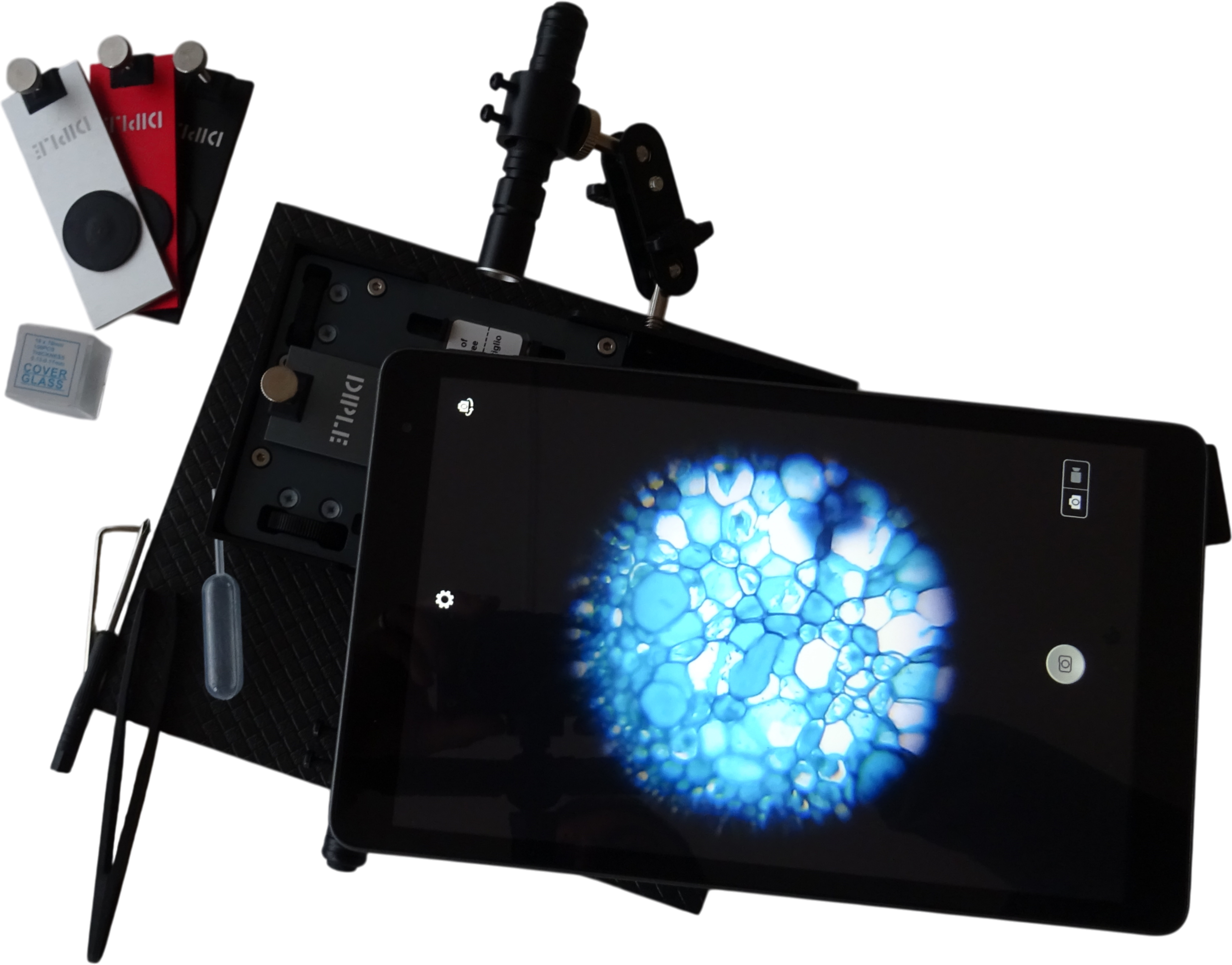 Dipple 2 F with Tablet