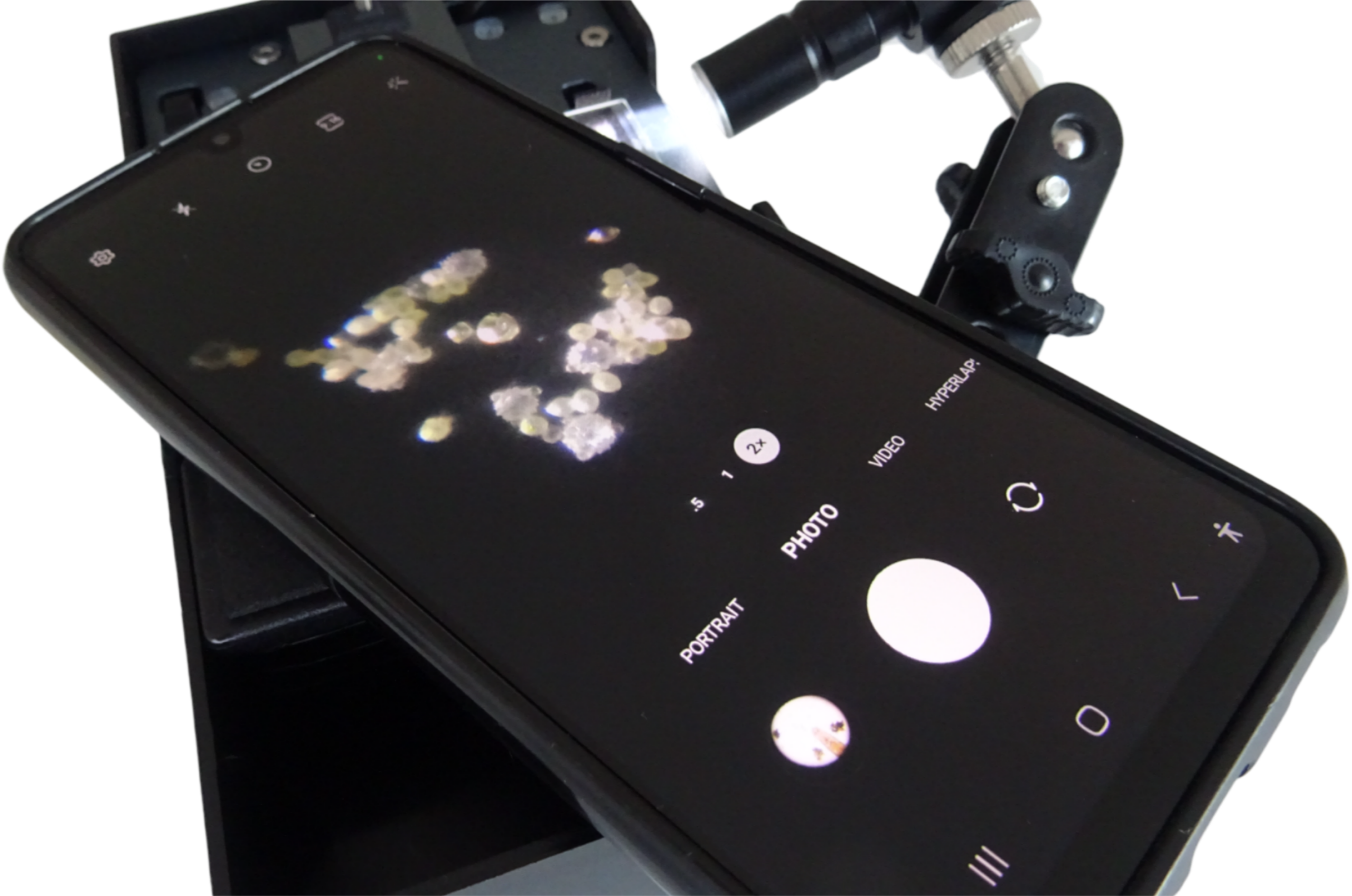 DIPLE-2F-pollini_dark_field-scaled